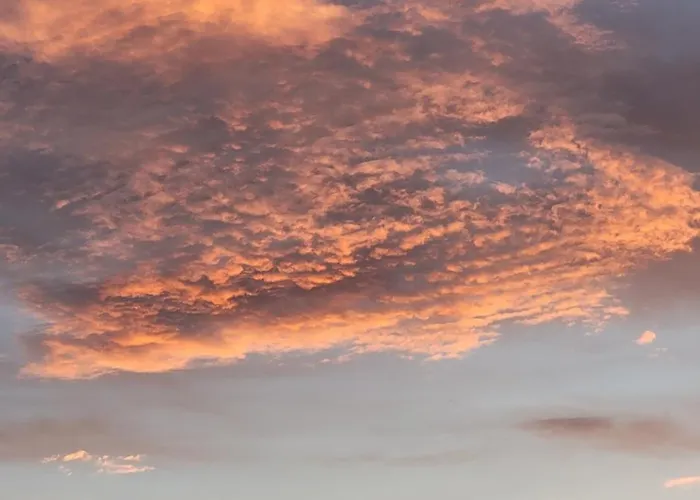 Gasthof Schöberingerhof 2*